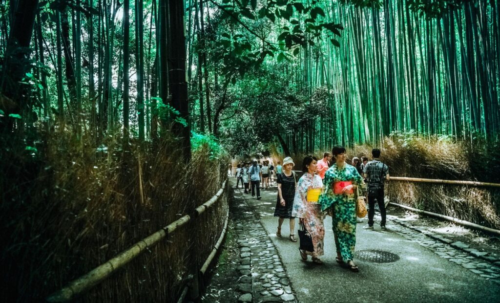 Arashiyama Bamboo Grove