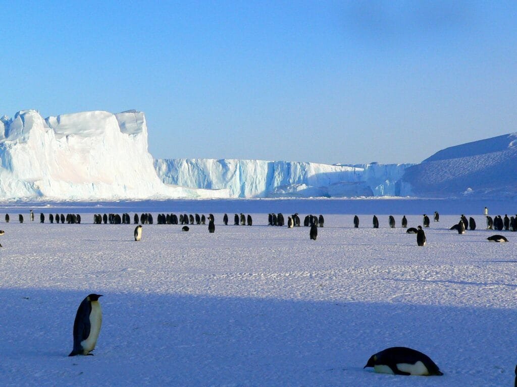 Introduction to Antarctica