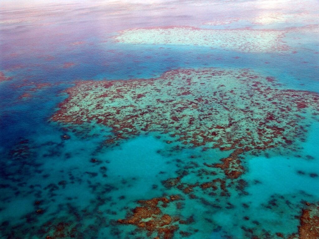 The Great Barrier Reef, Australia