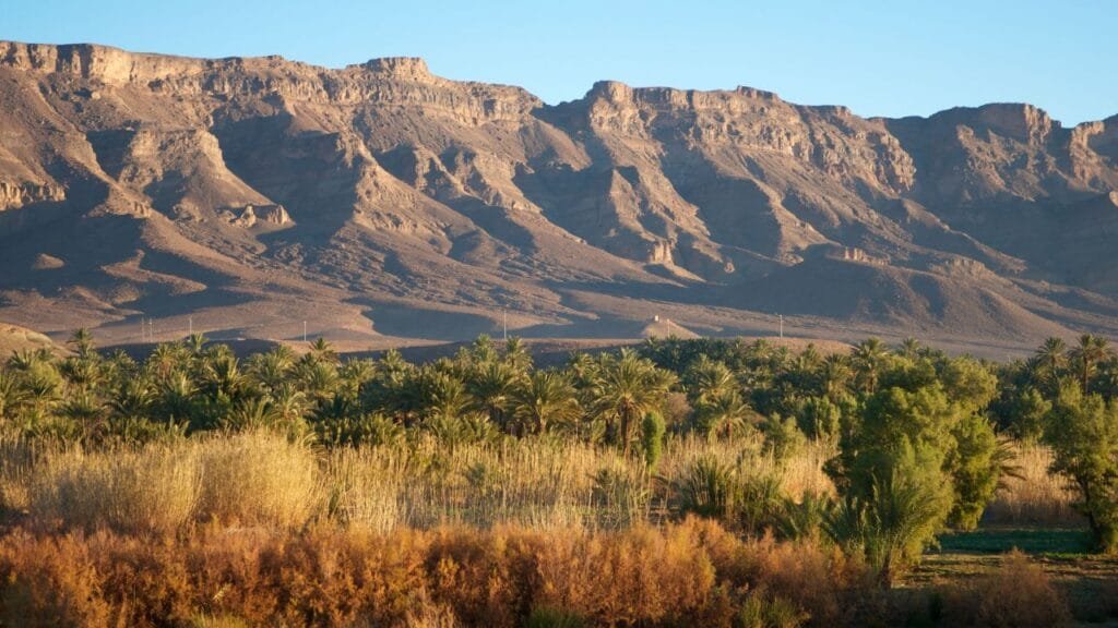 Africa