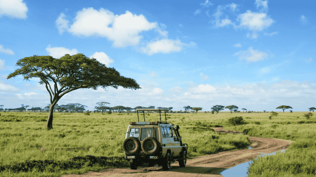 Safari in the Serengeti, Tanzania